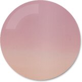 Verres Solaires Orga Rose Dégradé